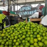 Limoneros de Apatzingán pedirán ayuda a Donald Trump