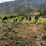 En 2024, Fiscalía de Michoacán localizó con vida a 686 personas reportadas como desaparecidas en la Región Morelia