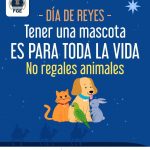 FGE refuerza acciones para erradicar la venta de animales en el operativo de Día de Reyes
