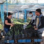 Vivero Municipal, pieza fundamental en la mejora de la imagen urbana de Morelia