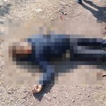 La Columna de “El Mono Grosero”…. Michoacán, líder en homicidios..no que los mejores en la policía!!!…
