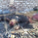 Terrible muerte!!!, lo mutilaron, le aplastaron la cabeza con una piedra y después lo quemaron, hechos en Jacona