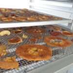En Uruapan, se realiza taller de deshidratado de frutas con energía solar combinado con inteligencia artificial