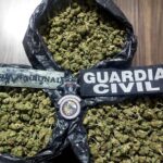 Un hombre fue detenido en posesión de más de 3 kg de mariguana en Morelia: SSP