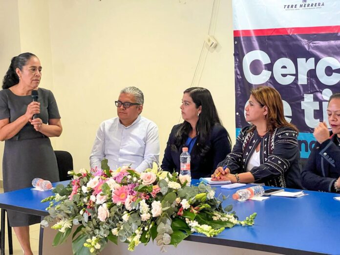 Diputada Tere Herrera