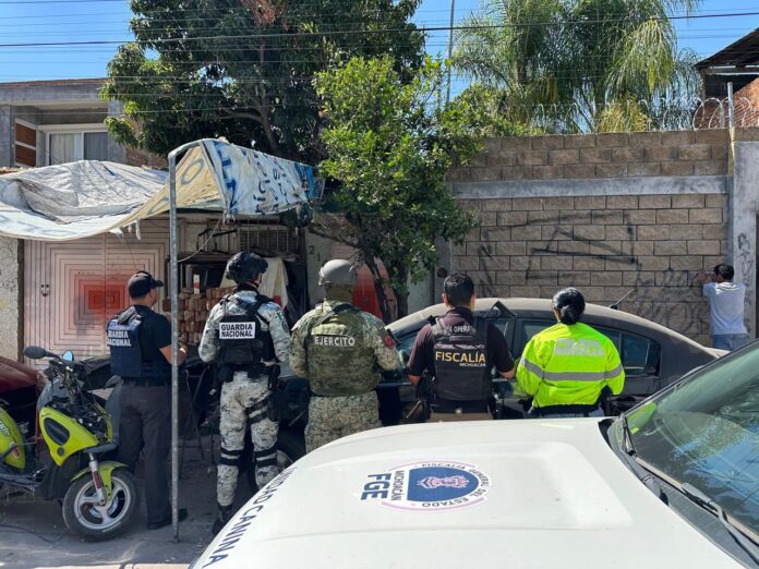 Cateo, Morelia droga, FGE