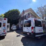 Abejas atacan a personas en Morelia