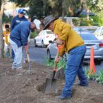 Alfonso Martínez supervisa rehabilitación de camellón en Artilleros del 47