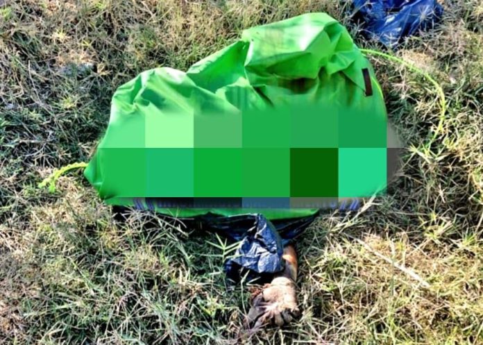 Asesinado Zamora
