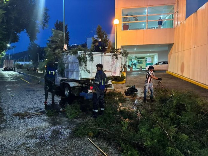 Lluvia Morelia