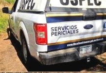 Investiga FGE ataque armado a domicilio que provocó la muerte de un canino en Morelia