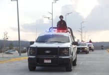 La Columna de El Mono Grosero…polis con presión, tensión y depresión… Gladys no despega