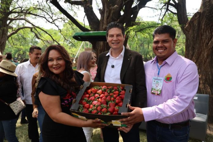 Alfonso Martínez, productores