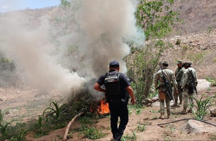 Operativo SSP