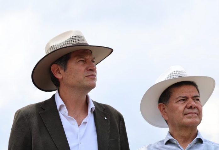 Alfonso Martínez