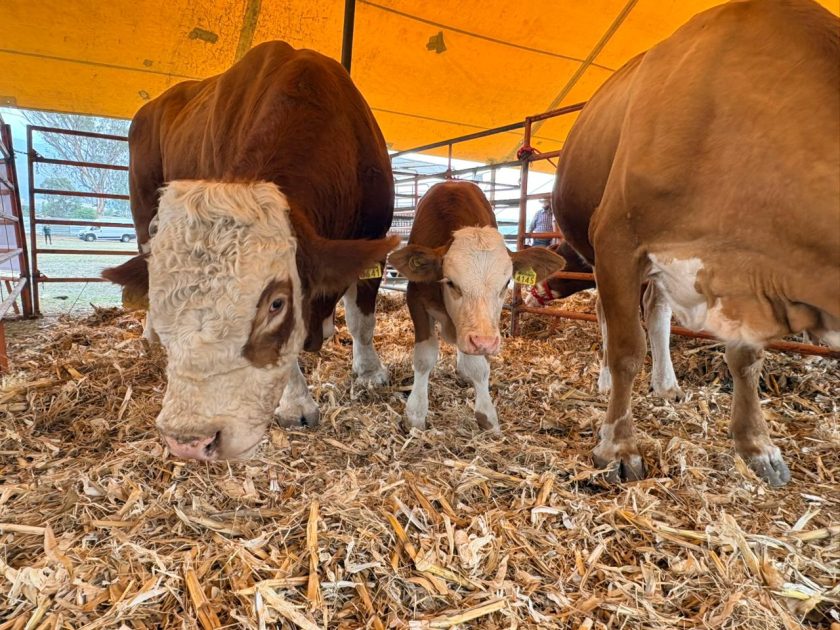 Gobierno de Morelia impulsa la innovación y tecnología del campo en la Agrotegan