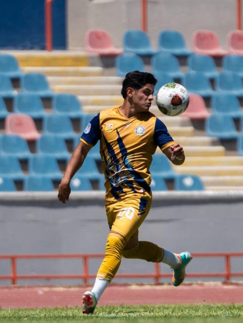 El estadio universitario reabre sus puertas; los Zorros de juegan el pase a semifinales