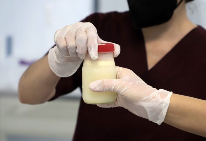 Leche materna