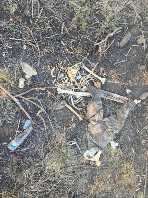 Decofem localiza dos osamentas humanas en el municipio de Jacona