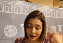 Brissa Arroyo respalda renovación del PRD
