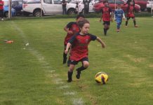 Equipo infantil de la UMSNH subcampeones de la categoría Mini-Ponys de la Liga Municipal