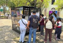 SeCultura Morelia detalla dinámica de préstamo de libros en cabinas de lectura