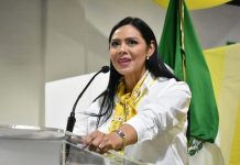 Araceli Saucedo decide no asumir la presidencia del PRD Michoacán
