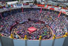 La Columna de ‘El Mono Grosero” …. Gladyz, resulta más una amargada botana…se hace lo que se puede con lo que se tiene