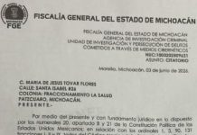 La Columna de “El Mono Grosero”…si Martha Ávila es periodista, yo soy Hugo Sánchez… denuncian a Feyo… Julio Arreola denuncia a su ex vieja