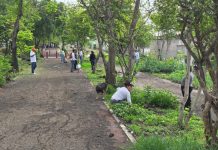 Gobierno de Morelia y ciudadanía emprenden jornada integral en el Parque Lineal Bicentenario