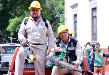 SSM te dice cómo identificar a los brigadistas oficiales que trabajan contra el dengue