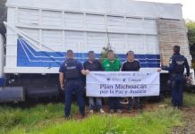 SSP detiene a 3 hombres presuntamente implicados en el robo de aguacate