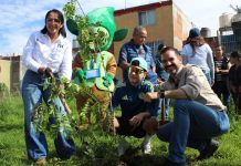 Gobierno de Morelia conmemora el Día Árbol y anuncia reforestaciones