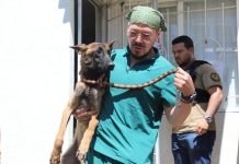 FGE rescata cinco seres sintientes en dos cateos realizados por presunto maltrato animal en Morelia