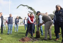 UMSNH, comprometida con el cuidado del medio ambiente, rectora encabeza cruzada de reforestación