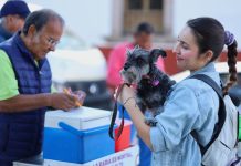SSM realizará jornada de vacunación antirrábica para perros y gatos en Morelia
