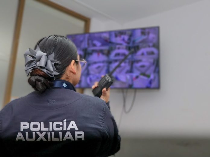Policía auxiliar