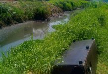 Adolfo Torres llama a evitar el abandono de basura en canales; detectan muebles en el dren Carlos Salazar
