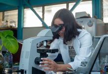 Proyectos nicolaitas son aprobados en la Convocatoria Nacional de Investigación Científica y Humanística 2026