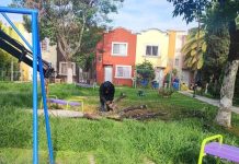 Gobierno de Morelia intensifica labores de limpieza de áreas verdes en distintos puntos de la ciudad
