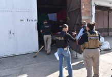 FGE investiga posible caso de maltrato animal tras cateo en Morelia; asegura restos de un ovino