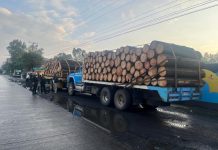 FGE asegura tres camiones con producto forestal, hay tres personas detenidas por documentación falsa